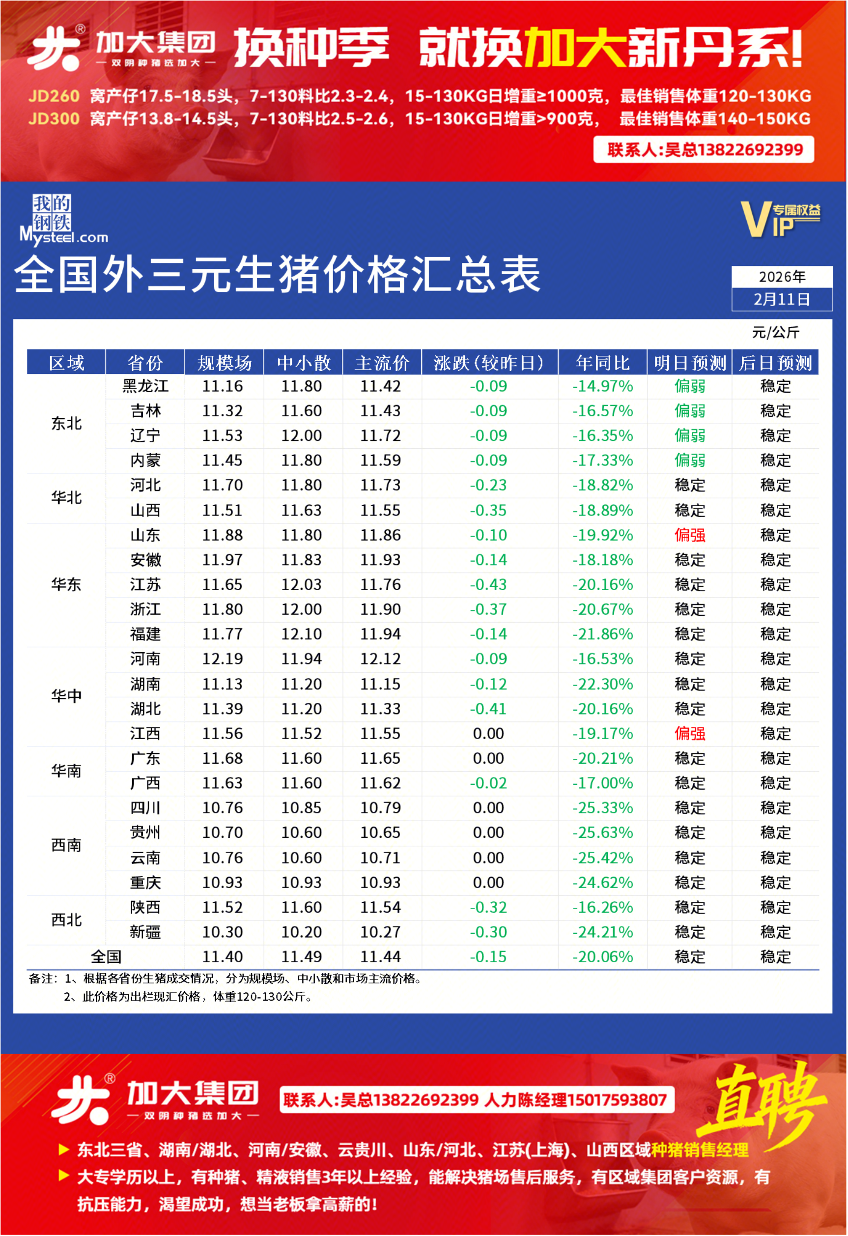Mysteel:全国外三元生猪价格汇总表(20260211)_我的钢铁网